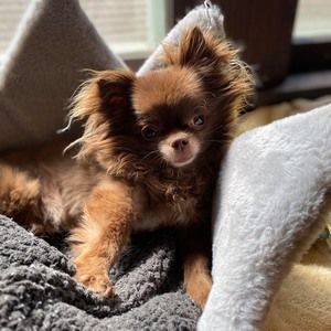 Meet your Posher, Tina